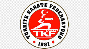 Afşi̇n Göktürk Gümüş