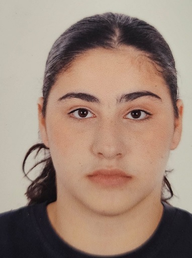 Ayli̇n Macli̇s